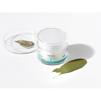 Purifying probiotic mask